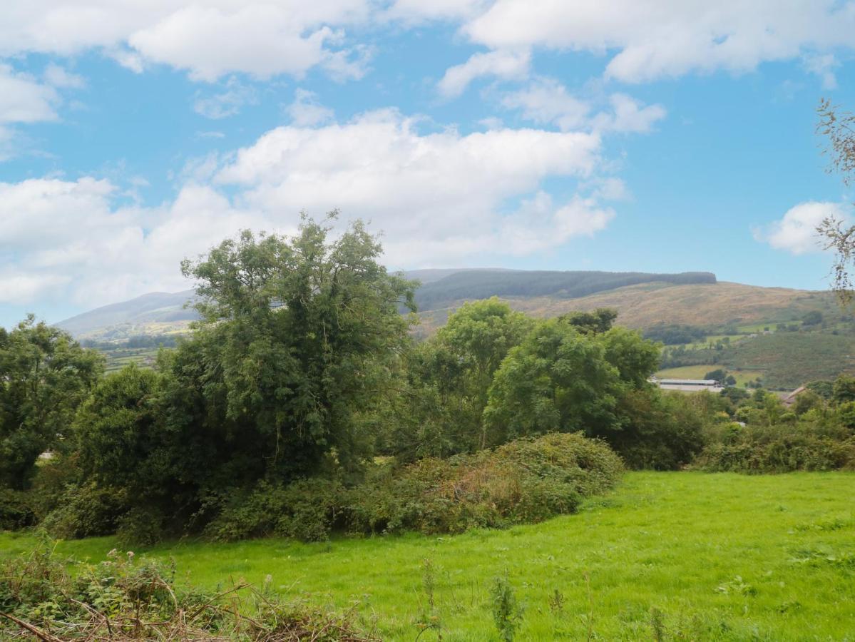 Whitethorn House Villa Newry Eksteriør billede